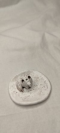 Image 4 of Naali korulautanen