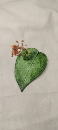 Image 4 of Sammakko korulautanen