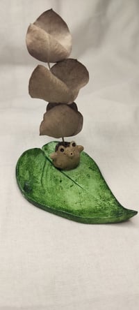 Image 2 of Siili korulautanen