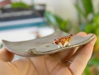 Image 3 of  Anky Soap Dish Matte