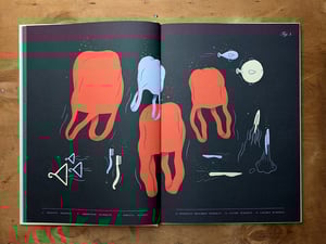 Image of De Oorsprong der Dingen