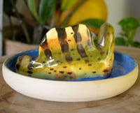 Image 5 of Spinosaurus Plate