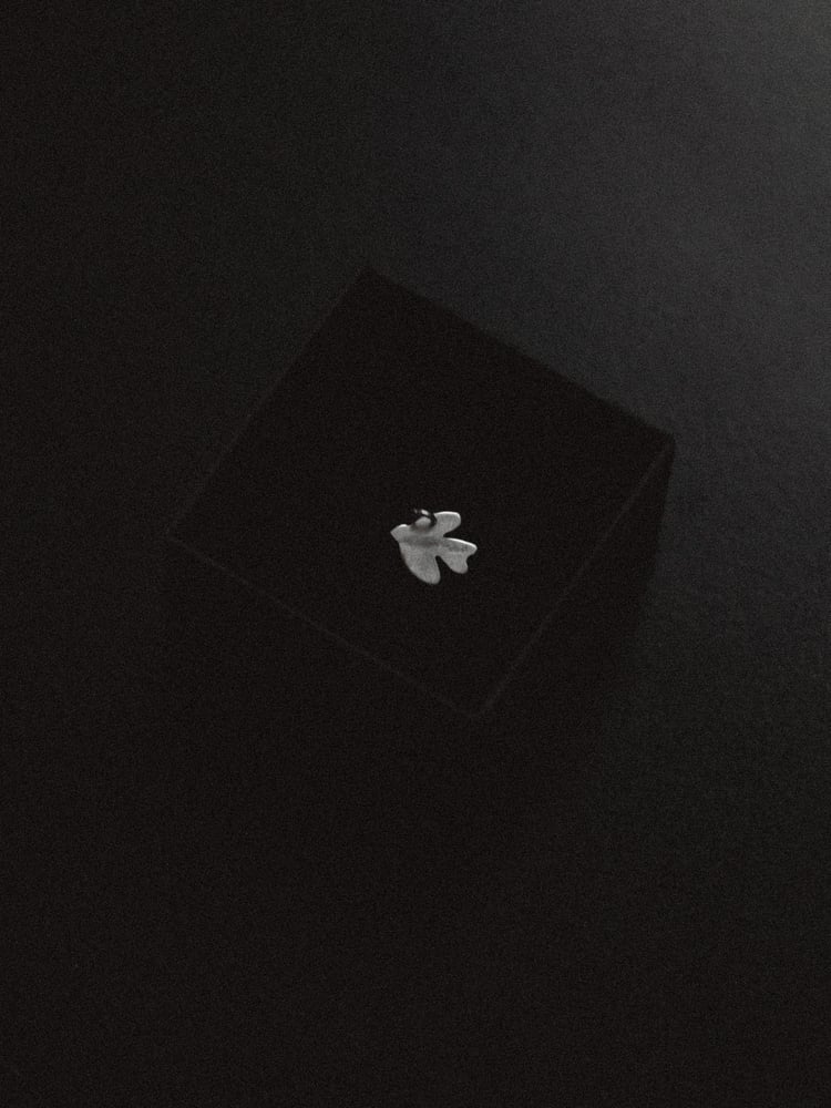 Image of Towards Peace x Daniel Angermann