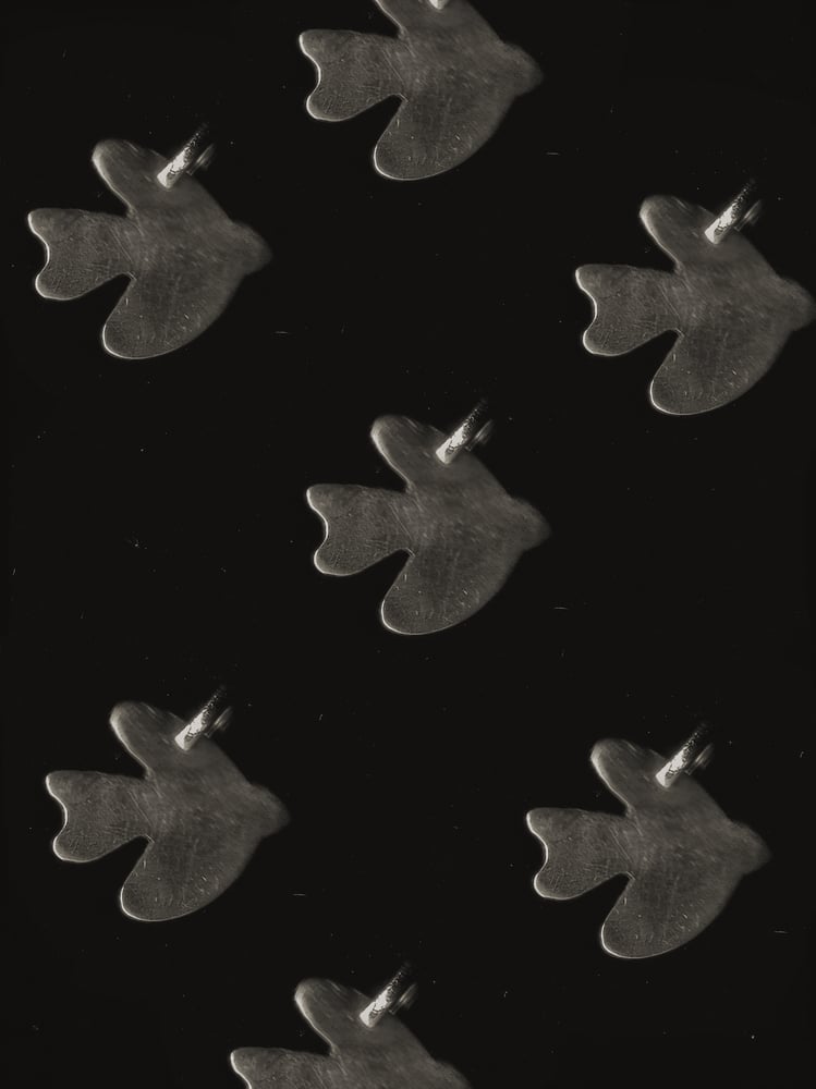 Image of Towards Peace x Daniel Angermann