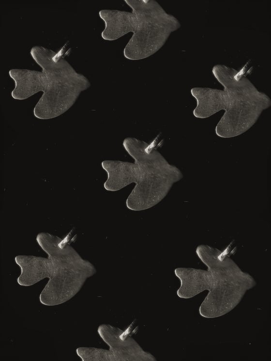 Image of Towards Peace x Daniel Angermann