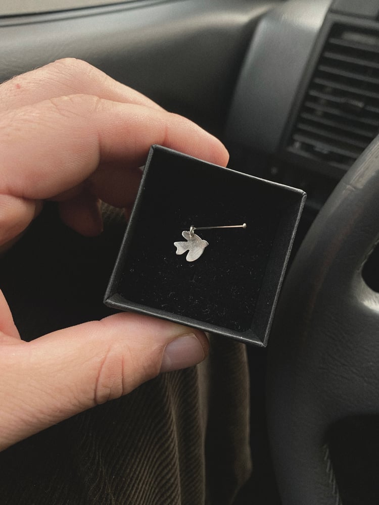 Image of Towards Peace x Daniel Angermann