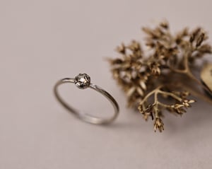 Image of 18ct White gold, 3.0mm Rose-cut Champagne diamond ring (LON267)