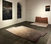 Image 4 of HUM + X+L carpet (dark)