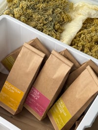 Tisane - Herbal Infusions 