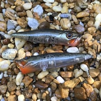 Image 5 of SPEEDBAITS Custom Airbrushed Topwater Popper 5564