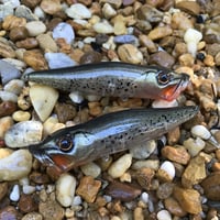 Image 7 of SPEEDBAITS Custom Airbrushed Topwater Popper 5564