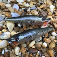 Image 8 of SPEEDBAITS Custom Airbrushed Topwater Popper 5564