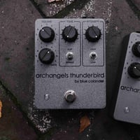 Image 2 of archangels thunderbird