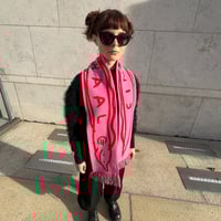 Image 4 of Der Schaal 