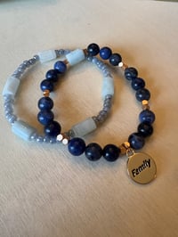 Image 1 of Tides of Family 