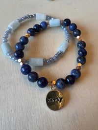 Image 2 of Tides of Family 