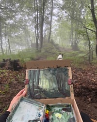 Image 1 of Misty Forest