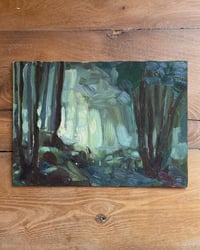 Image 2 of Misty Forest