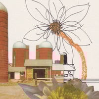 Image 2 of No solo silos