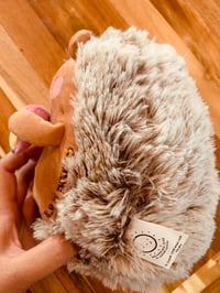 Image 2 of Winnie the Hedgehog Stuffy