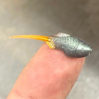 Image 2 of 1.25" Ice Prey Bait (10Pk)