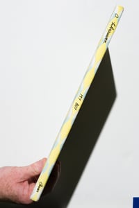 Image 9 of My Boy by Olivier Schrauwen