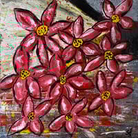 Image 1 of Bloom Burst