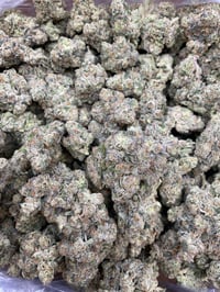 Jelly Cake (Exotic)🔥🔥🔥🔥🔥