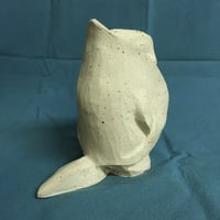 Image 4 of little tortoise dude