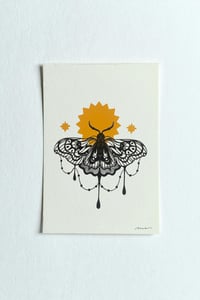 Image 2 of Moth Burst