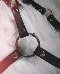 Image 2 of The Serpent Harness