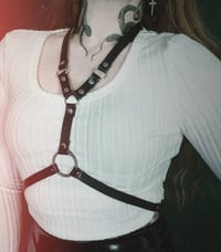 Image 3 of The Serpent Harness