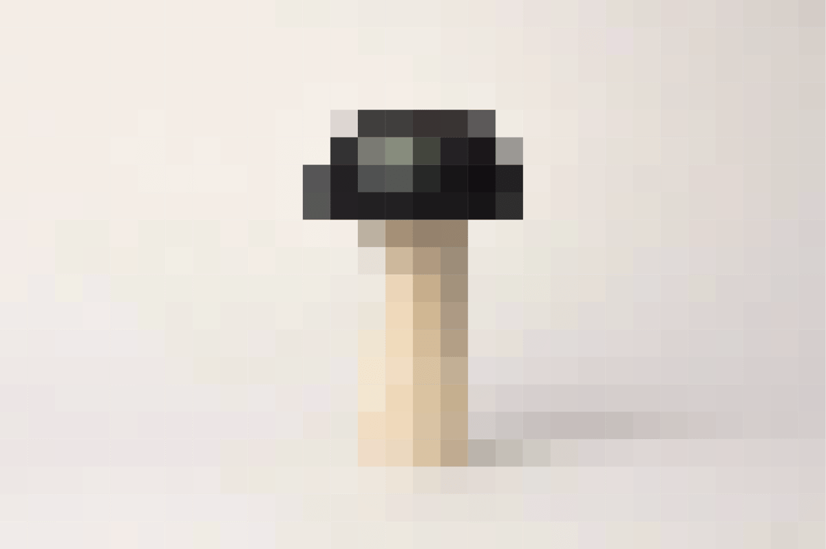 Image of Magic Mushroom