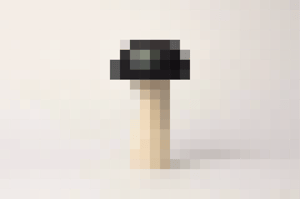 Image of Magic Mushroom