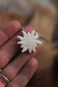 Image 2 of Stella Alpina -osso di cervo-