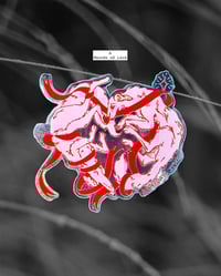 Image 2 of Fauna Stickers