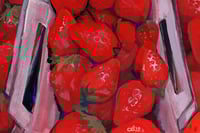 Image 12 of Fruit Series