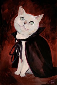 Image 15 of Cat Memes and Cats Series