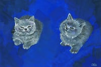 Image 3 of Cat Memes and Cats Series