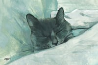 Image 4 of Cat Memes and Cats Series