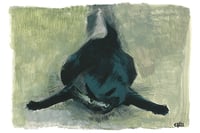 Image 6 of Cat Memes and Cats Series