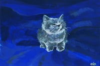 Image 2 of Cat Memes and Cats Series