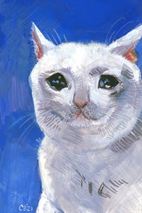 Image 10 of Cat Memes and Cats Series