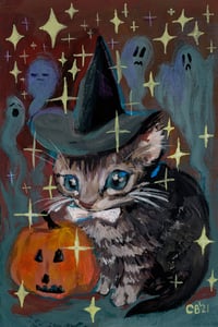 Image 13 of Cat Memes and Cats Series