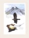 Image of Arctic Refuge Golden Eagle field sketch print