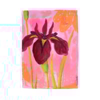 Image 1 of Iris