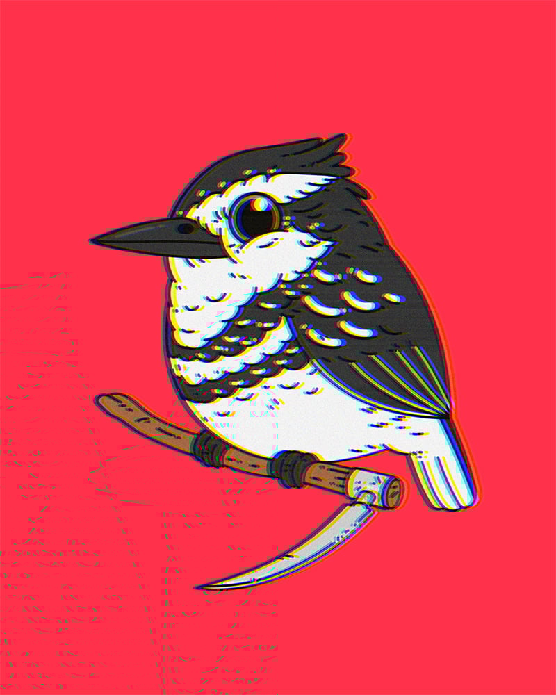 Image of Pied Kingfisher (Saturday Morning Variant)