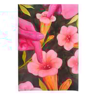 Image 1 of Soft and Sweet