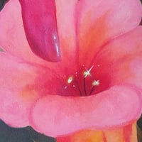 Image 2 of Soft and Sweet