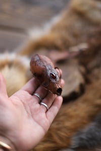 Image 2 of Teschio di Mustelide -granato-